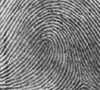 [fingerprint graphic]